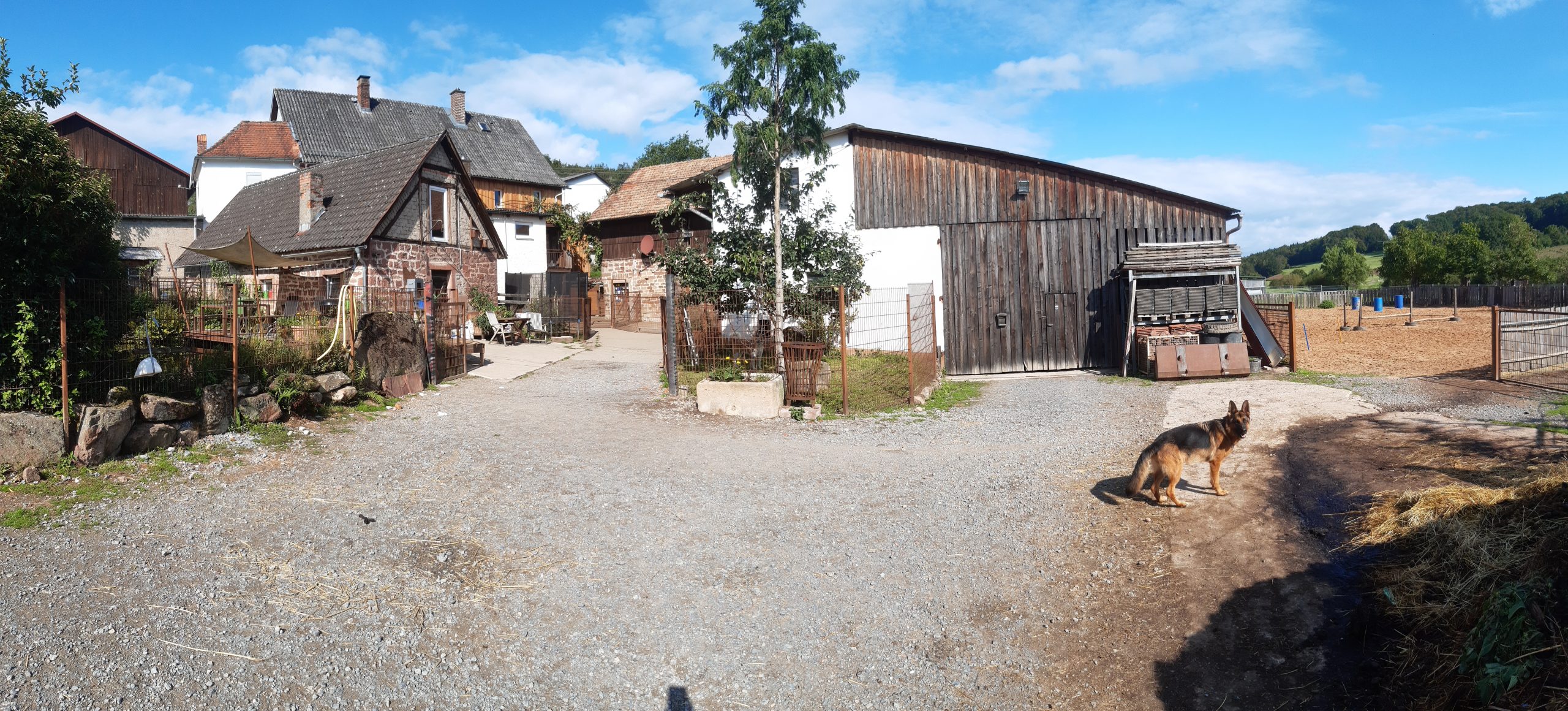 Tierpension Hundepension Miltenberg Schippach